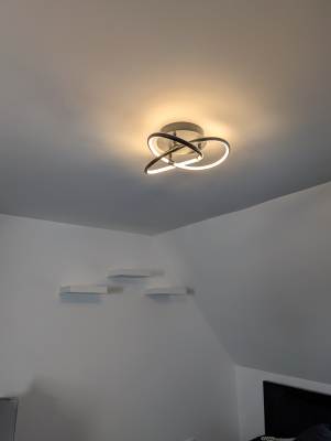 contractor based in Falkirk